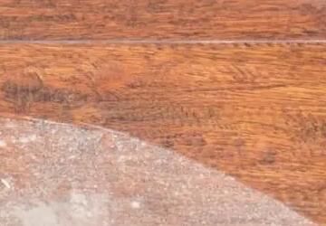 家里灰塵的主要來源有哪些方面呢？