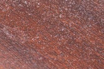 對于家里灰塵的清理，有什么方法嗎？