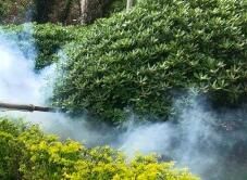 四害消殺完成后，需要做哪些鞏固工作呢？